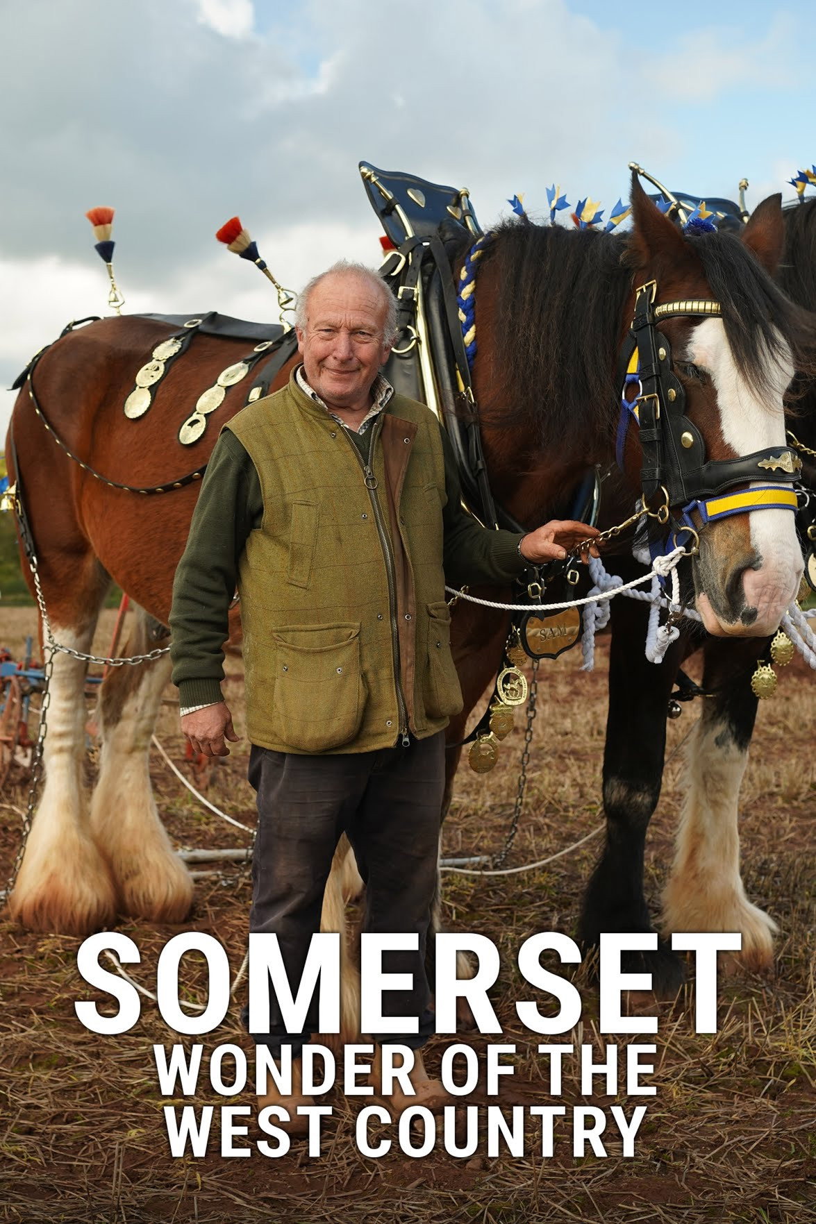 Somerset: Wonder of the West Country