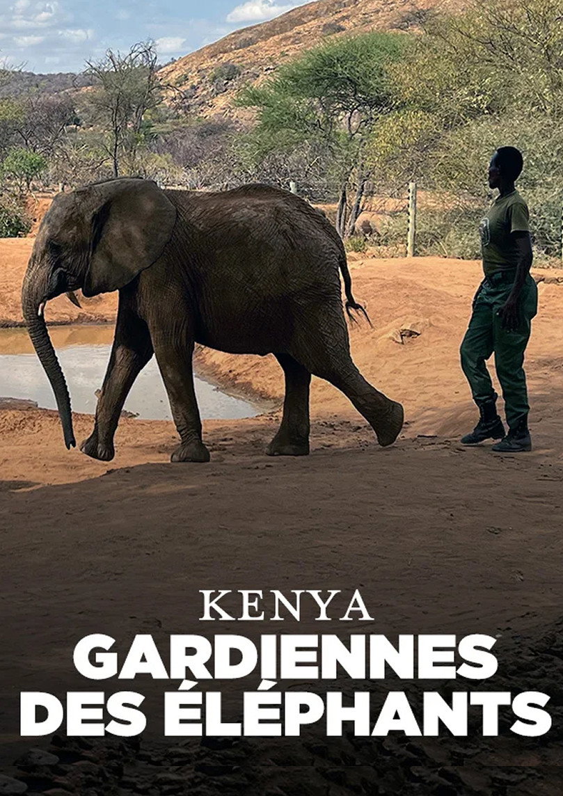 Kenya, Gardiennes des éléphants