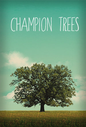 Champion Trees