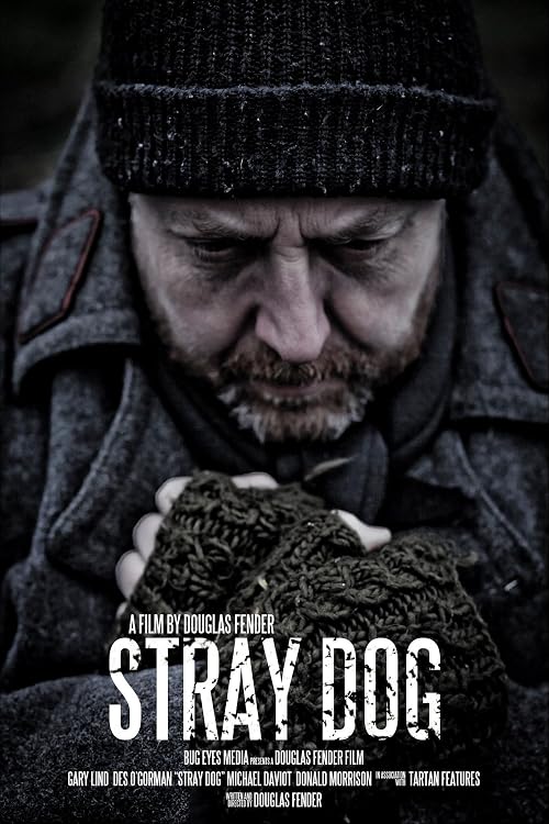 Stray Dog
