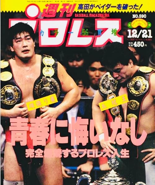 AJPW Real World Tag League 1993 - Day 18
