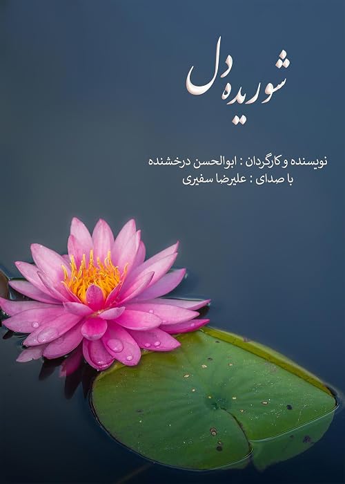 Shoorideh Del