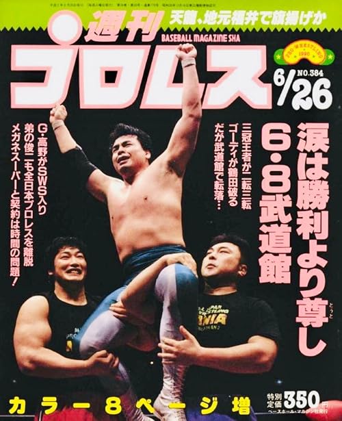 AJPW Super Power Series 1990 - Day 19