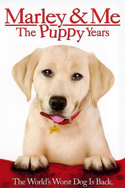 'Marley & Me: The Puppy Years' Goes to Training Camp