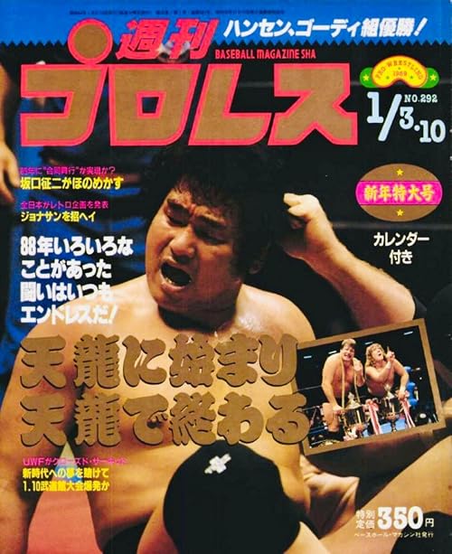 AJPW Real World Tag League 1988 - Day 23