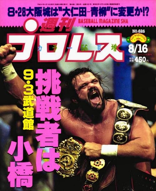 AJPW Summer Action Series 1994 - Day 21