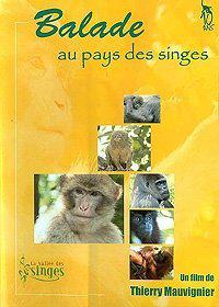 Balade au pays des singes