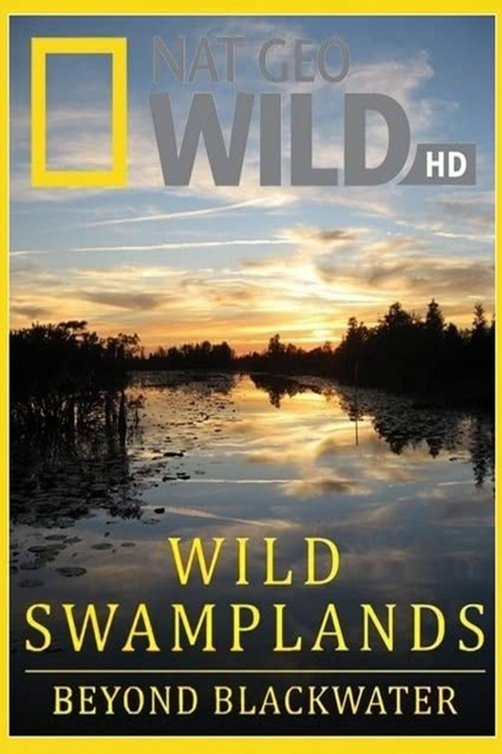 Swamplands USA