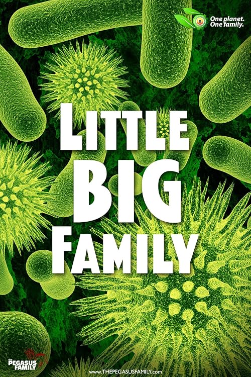 Little Big Family