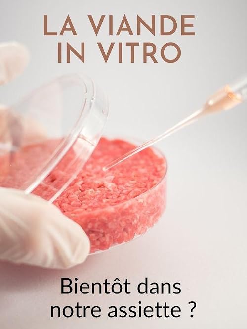 La viande in vitro, bientôt dans nos assiettes?