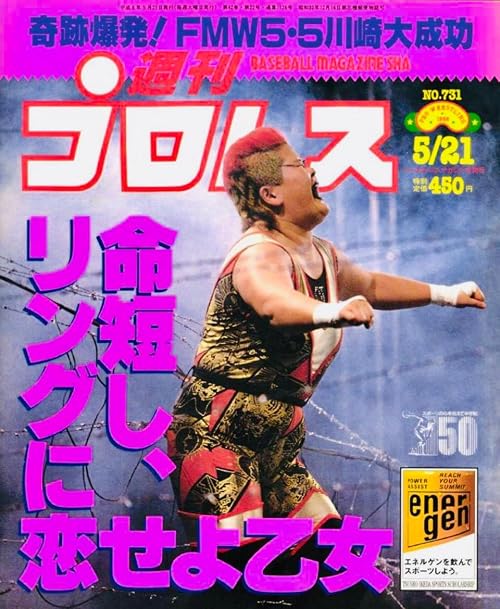 FMW Fighting Creation 1996 - Day 11