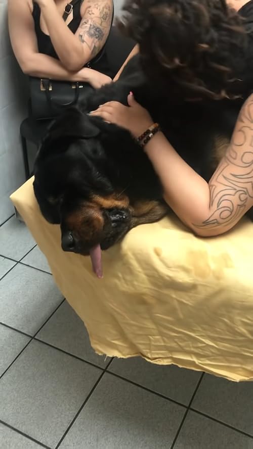 Zeus the Rottweiler dies in my arm on Part 2 on 6.26.19