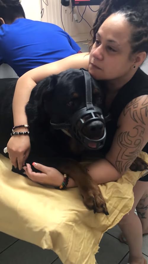 ZEUS the Rottweuler dies in my arm part 1 June 26, 2019