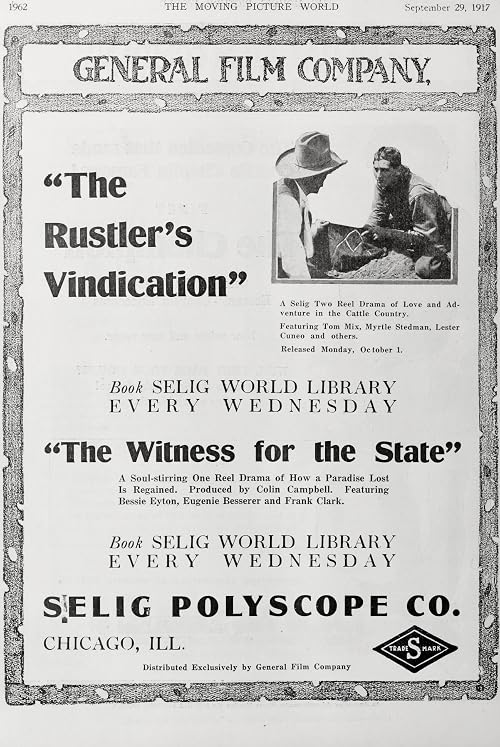 The Witness for the State