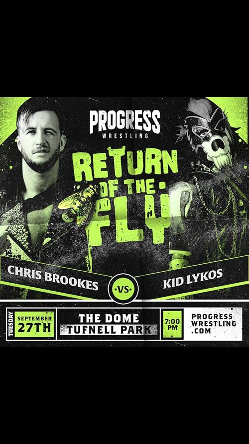 Progress Return of the Fly