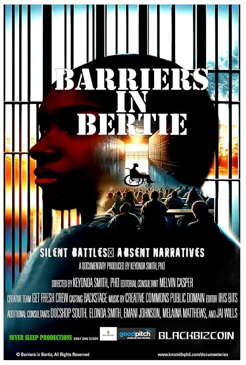 Barriers in Bertie