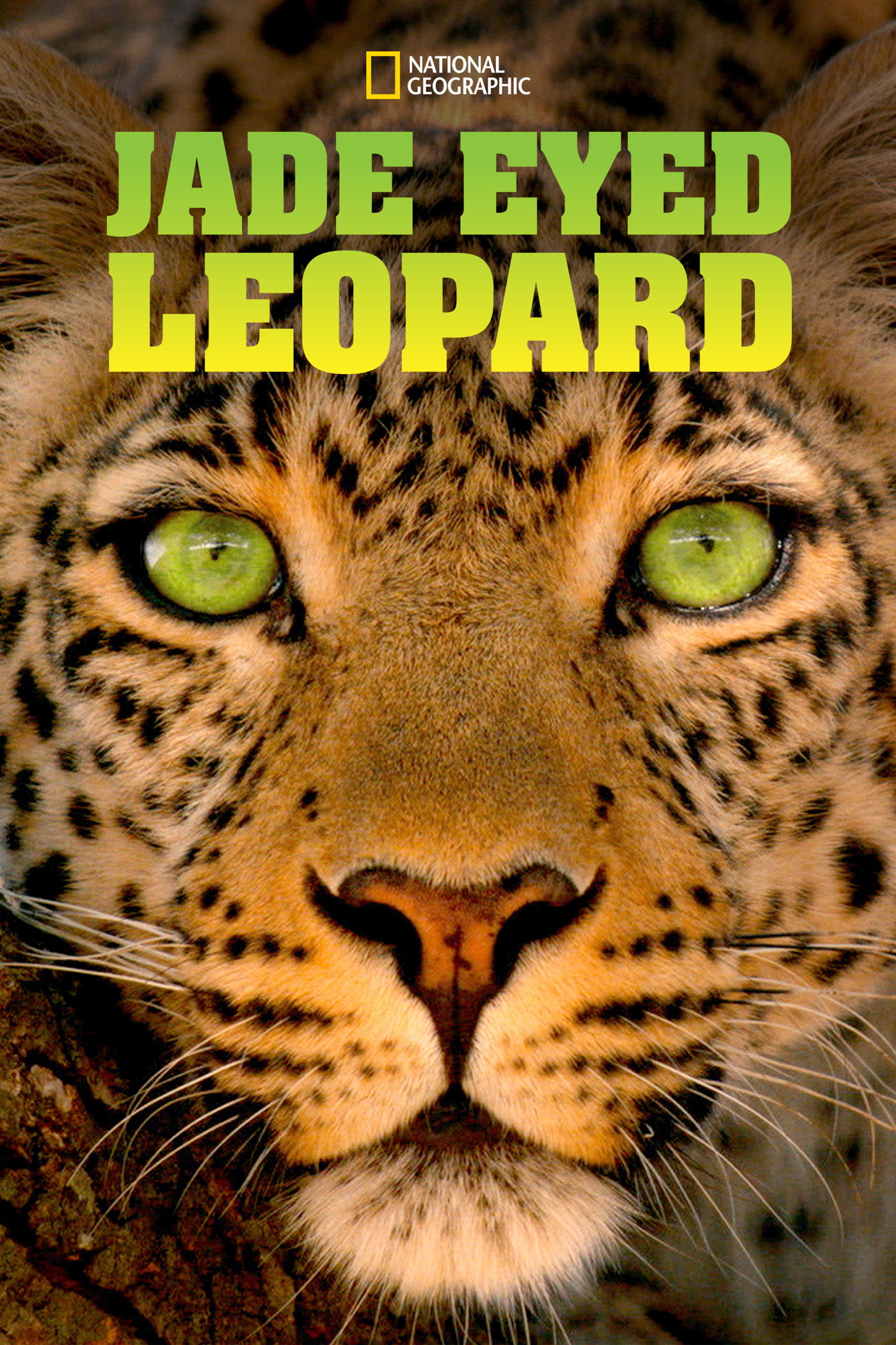 Der Leopard mit den Jade-Augen