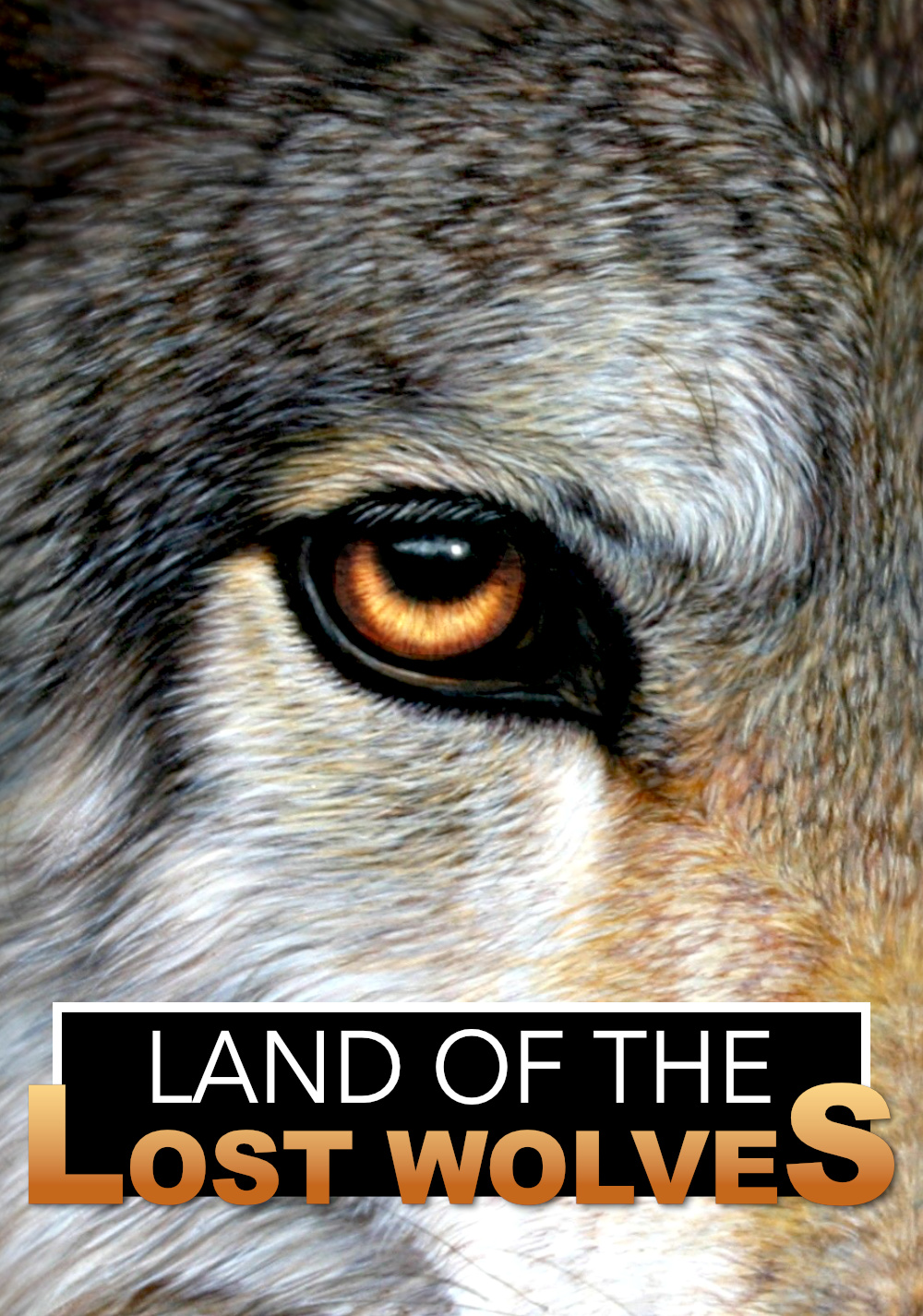 Land of the Lost Wolves