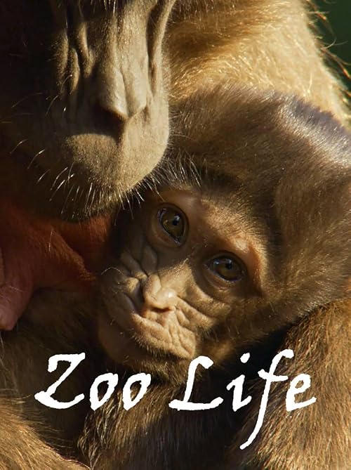 Zoo Life