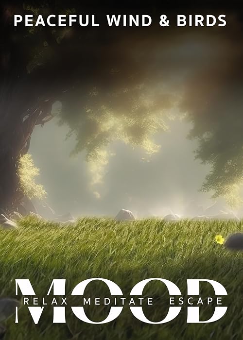 Peaceful Wind & Birds: Mood - Relax, Meditate, Escape