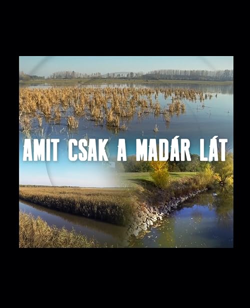 Amit csak a madár lát