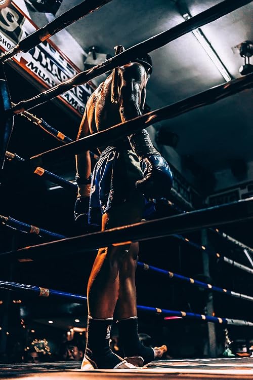 The Pugilist's Journey