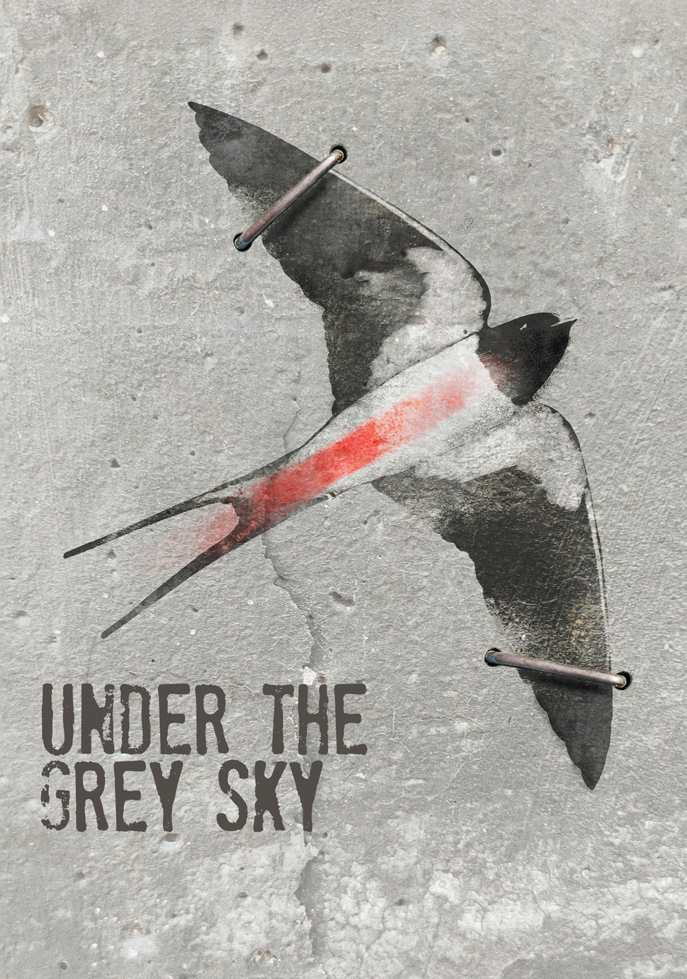 Under the Grey Sky