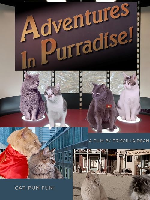 Adventures in Purradise