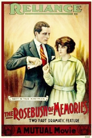 The Rose Bush of Memories