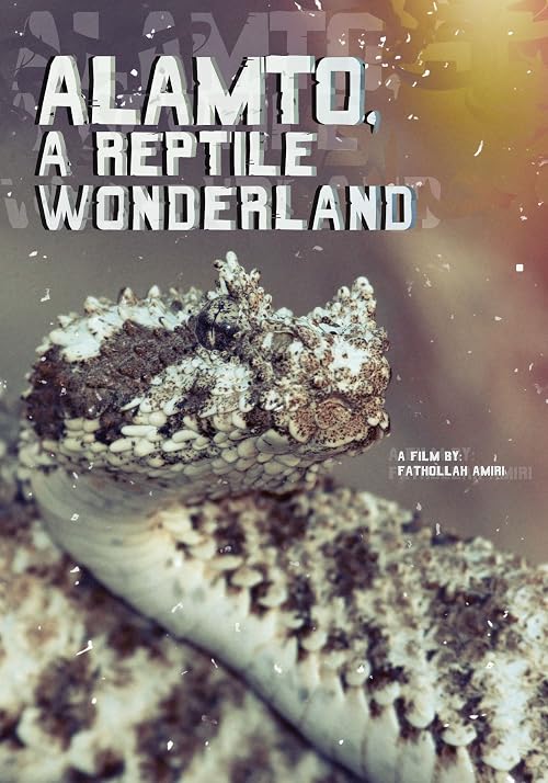 Alamto, a Reptile Wonderland