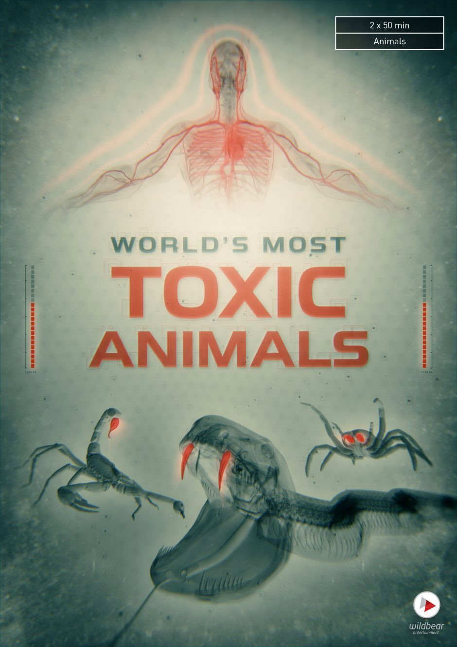 World Most Venomous Animals