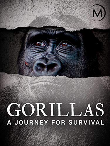 Gorillas: A Journey for Survival