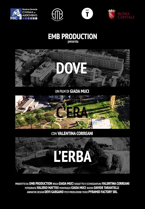 Dove c'era l'erba