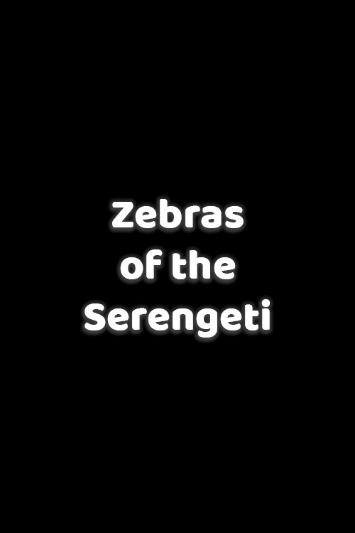 Zebras der Serengeti