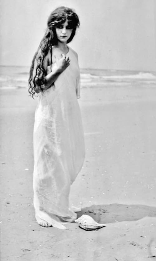Beauty in the Seashell