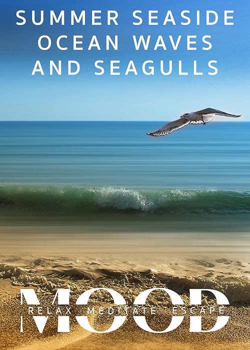 Summer Seaside Ocean Waves and Seagulls: Mood - Relax, Meditate, Escape
