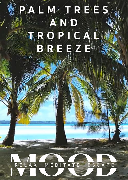 Palm Trees and Tropical Breeze: Mood - Relax, Meditate, Escape