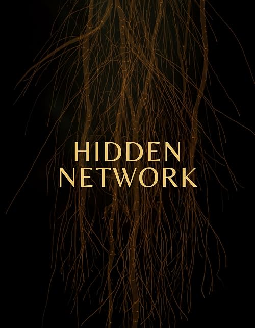 Hidden Network