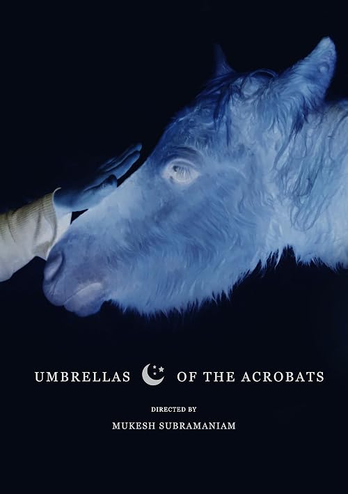 Umbrellas of the Acrobats