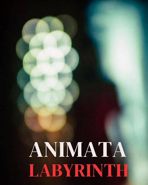 Animata Labyrinth