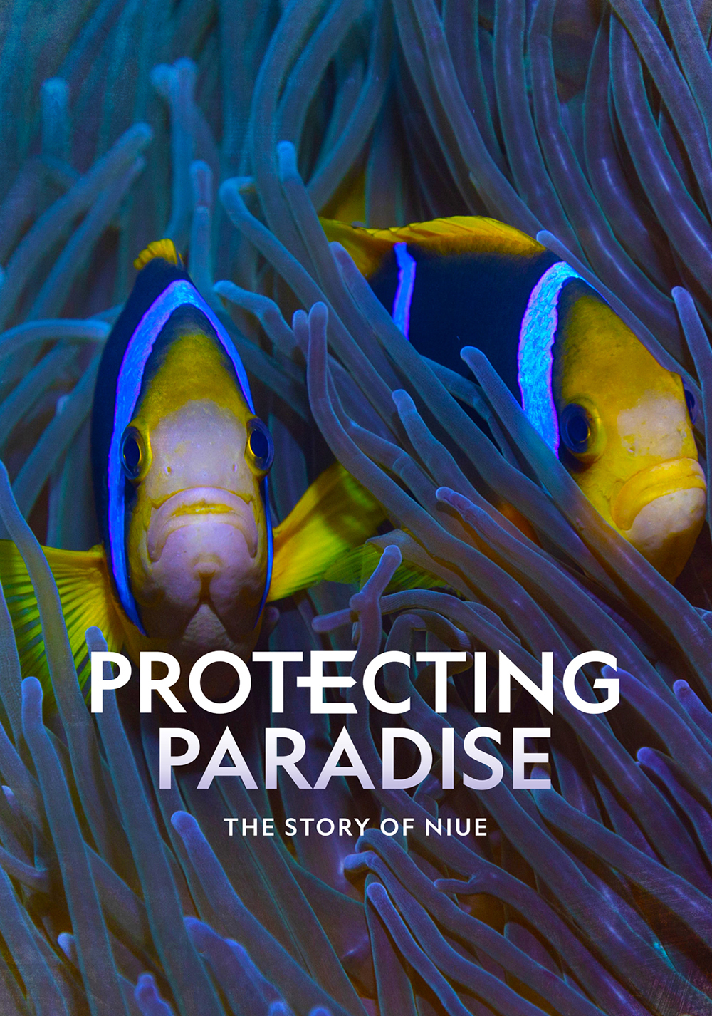 Protecting Paradise: The Story of Niue