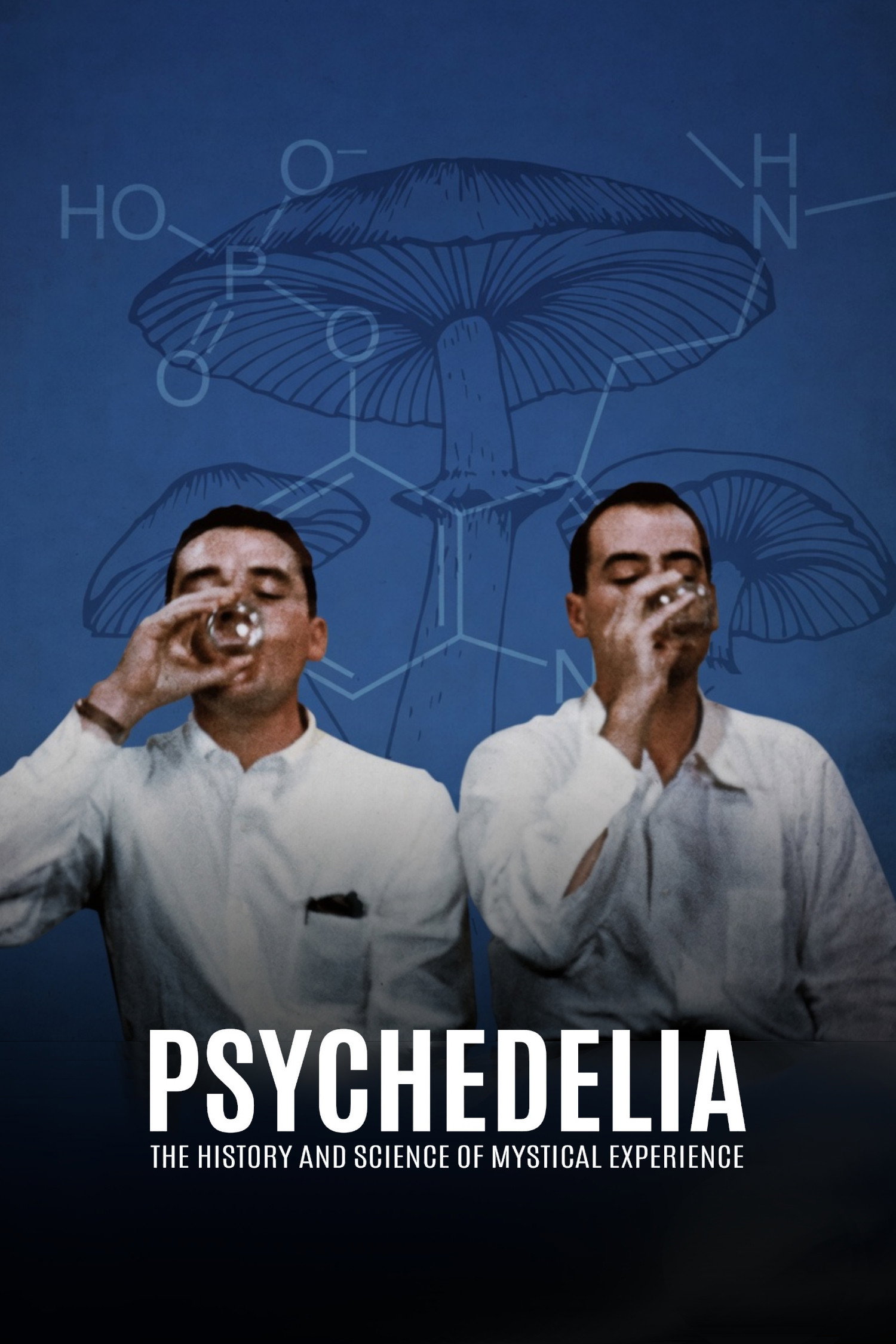 Psychédélique, la science des expériences mystiques