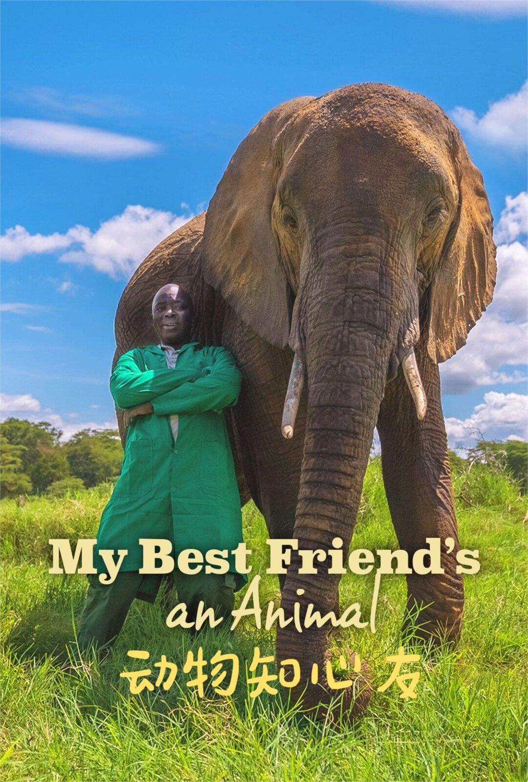 My Best Friend's an Animal