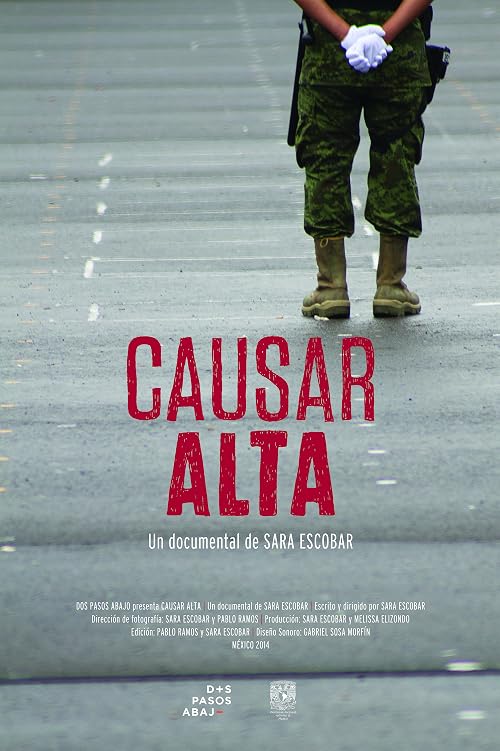 Causar Alta