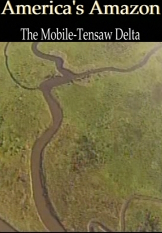 America's Amazon
