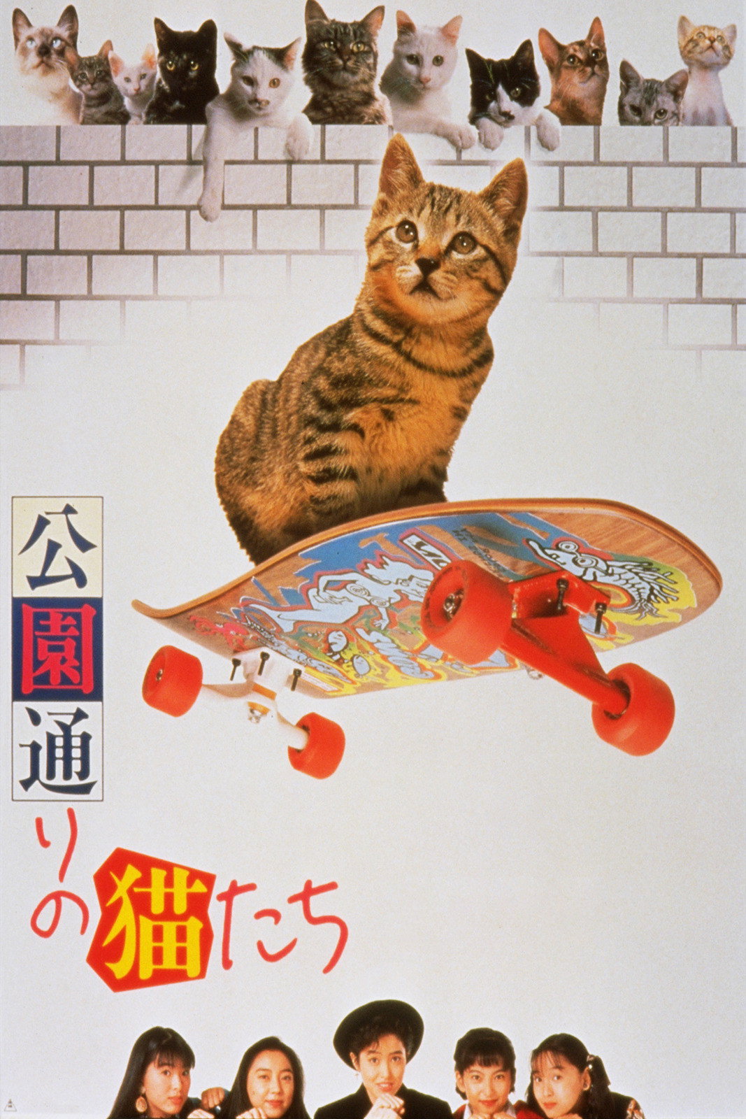 Kôendôri no nekotachi