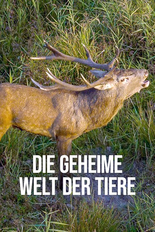Die geheime Welt der Tiere