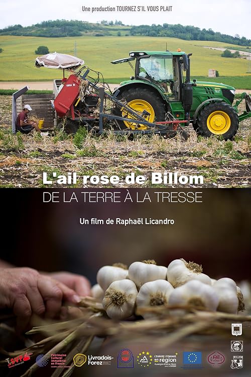 L'ail rose de Billom