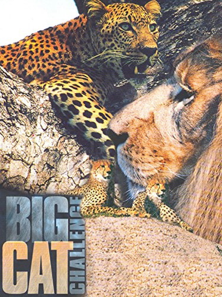 Natural Killers: Big Cat Challenge
