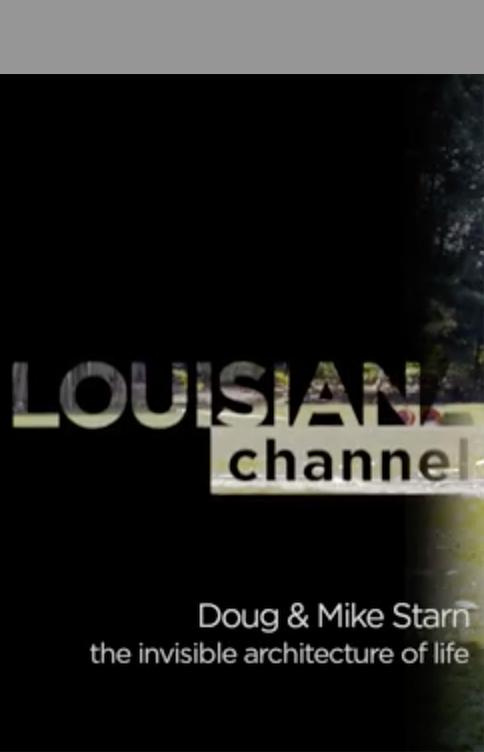 Doug & Mike Starn - The Invisible Architecture of Life